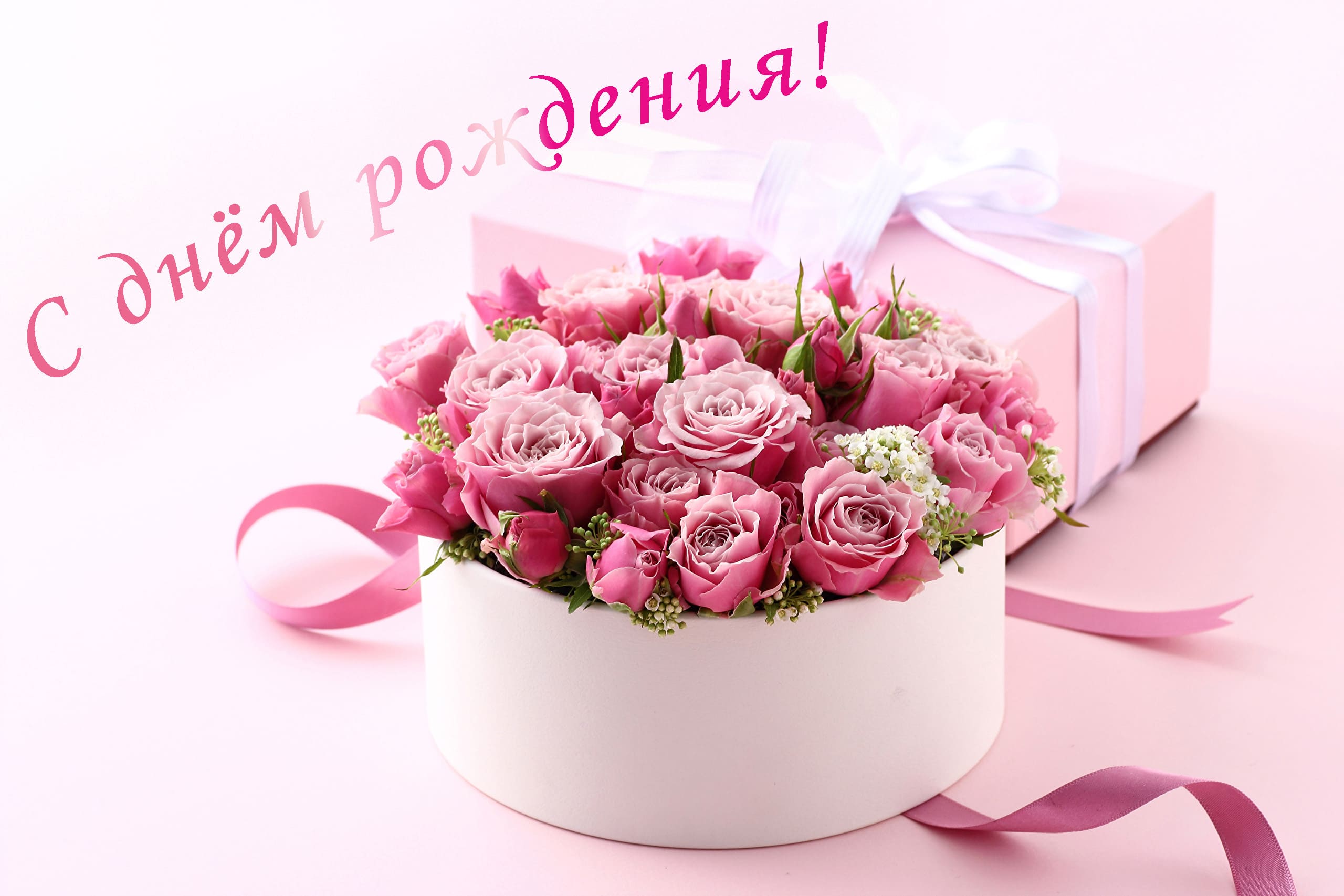 Поздравления С Днем Рождения Розе В Картинках