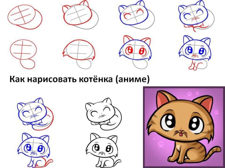 Images of Cats for Sketching. More than 110 pictures! Download for Free