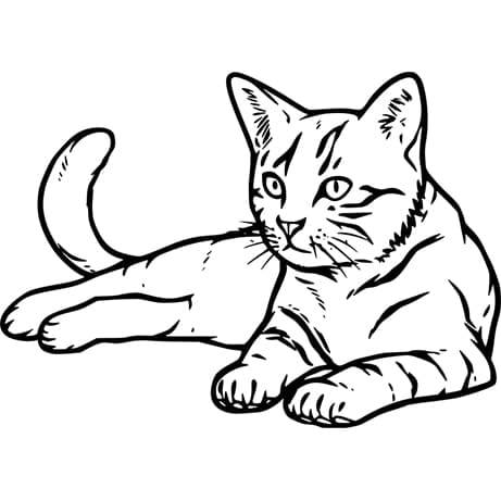 Images de chats pour le dessin. Plus de 100 photos! Télécharger gratuitement