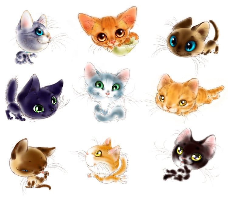 Obrazy kotów do rysowania i kopiowania. Ponad 100 zdjęć za darmo