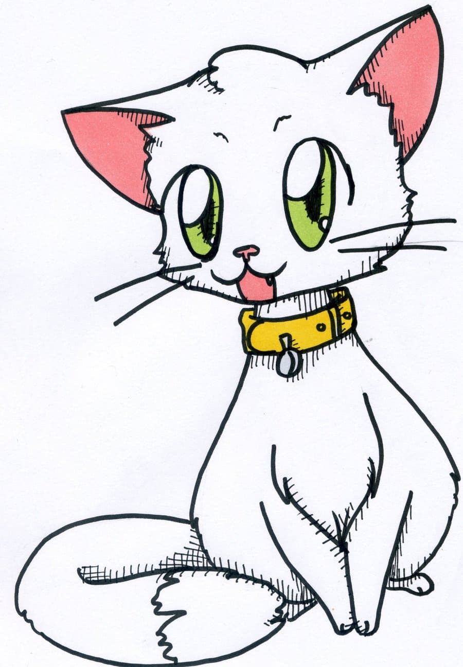 Images de chats pour le dessin. Plus de 100 photos! Télécharger gratuitement