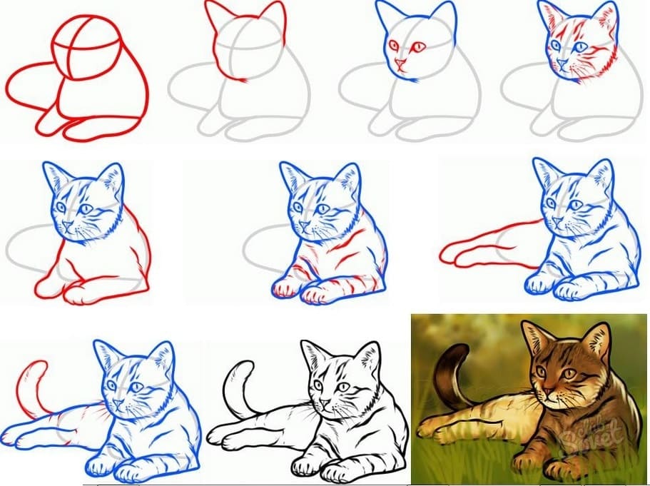 スケッチ用の猫の画像-描画のための110のアイデア