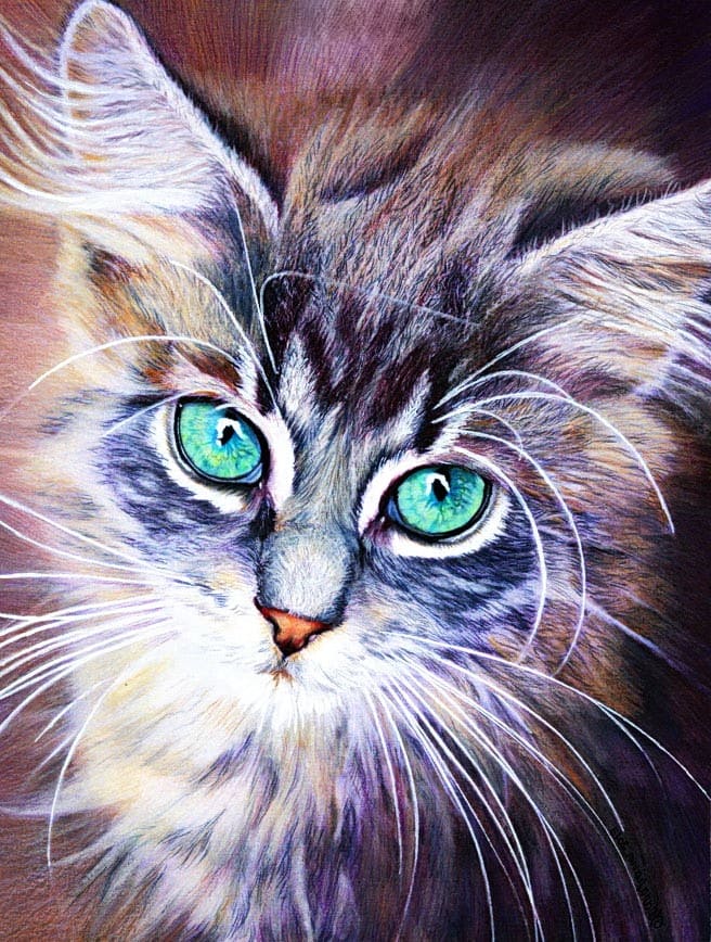 Images de chats pour le dessin. Plus de 100 photos! Télécharger gratuitement