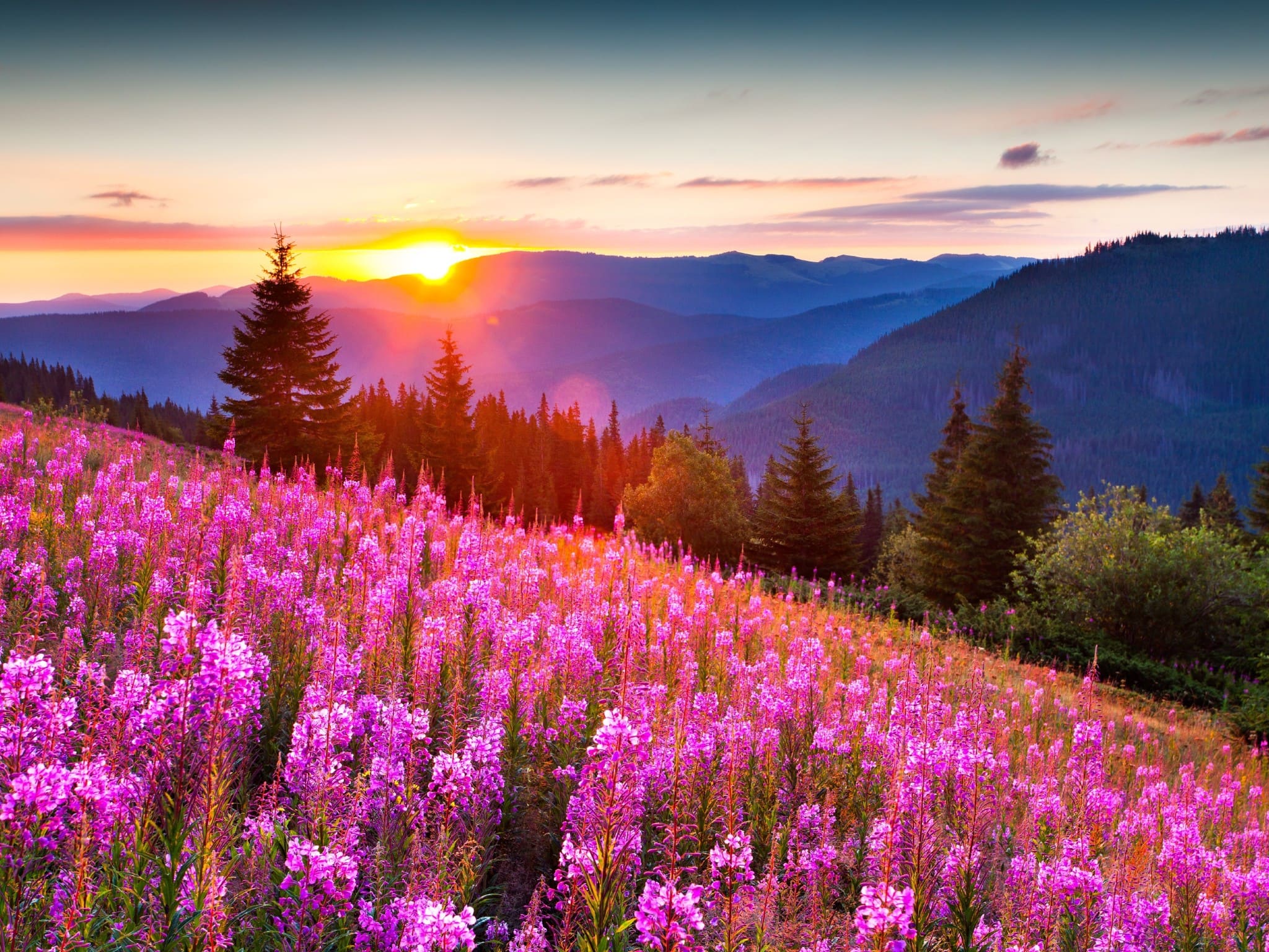 Immagini con splendidi paesaggi estivi. 100 fotografie da decorare il tuo desktop