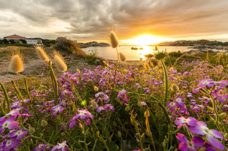 Images Of Beautiful Summer Nature 100 Photos For Your Desktop images-of-beautiful-summer-nature-100-photos-for-your-desktop