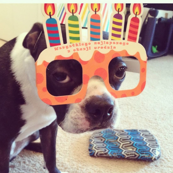 Wszystkiego najlepszego z okazji urodzin: 50 kart okolicznościowych