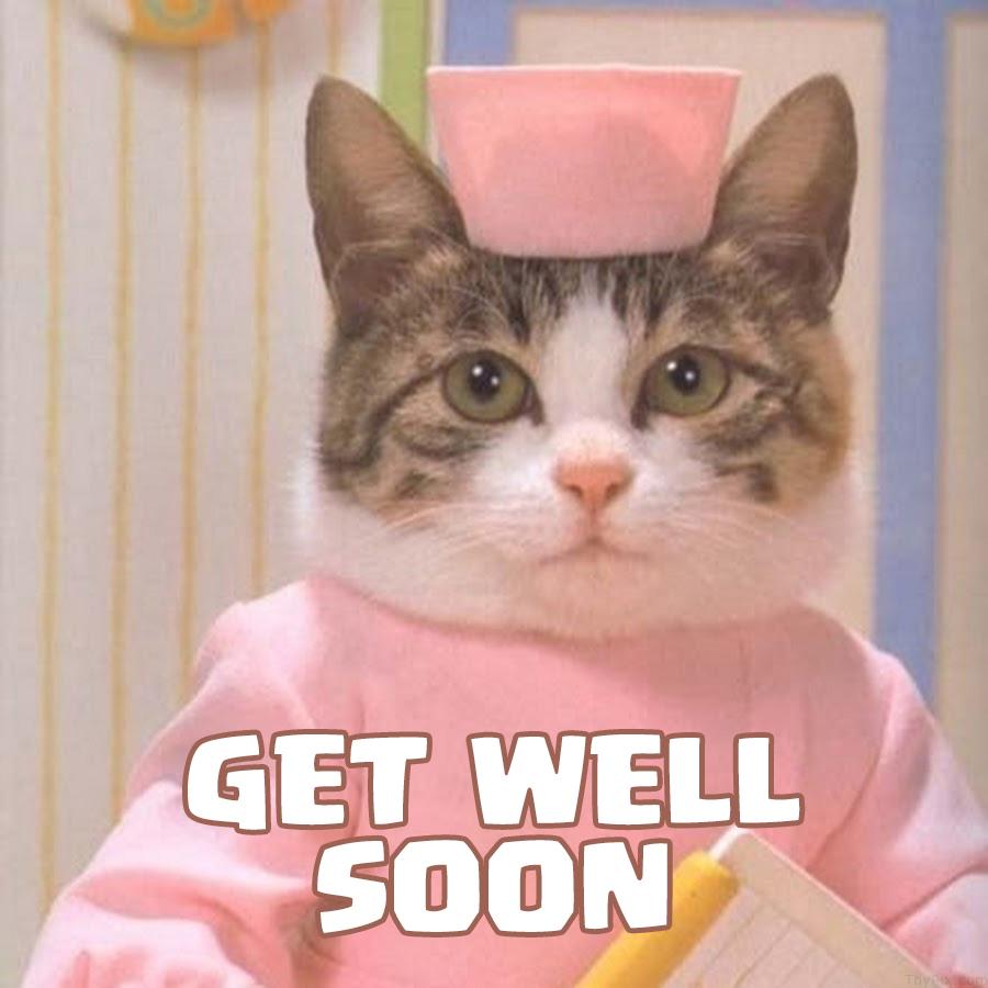 Pics to Say Get Well Soon! 50 Funny Cards for Free