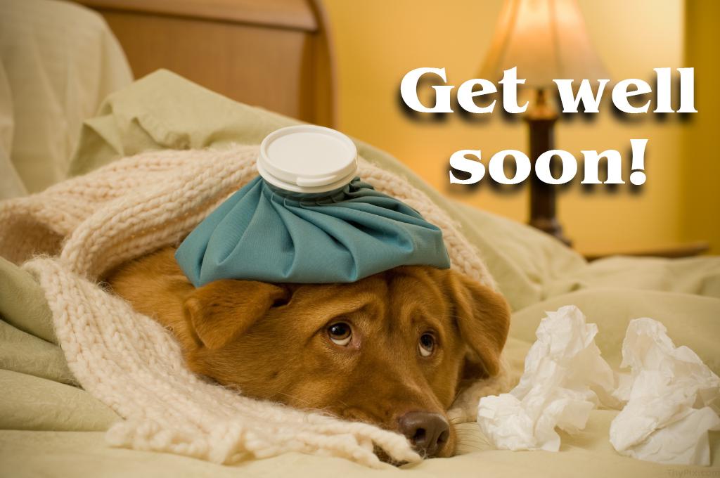 Get Well Soon Images Funny - Printable Template Calendar