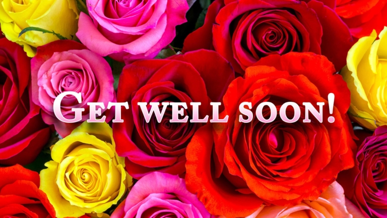 Pics to Say Get Well Soon! 50 Funny Cards for Free