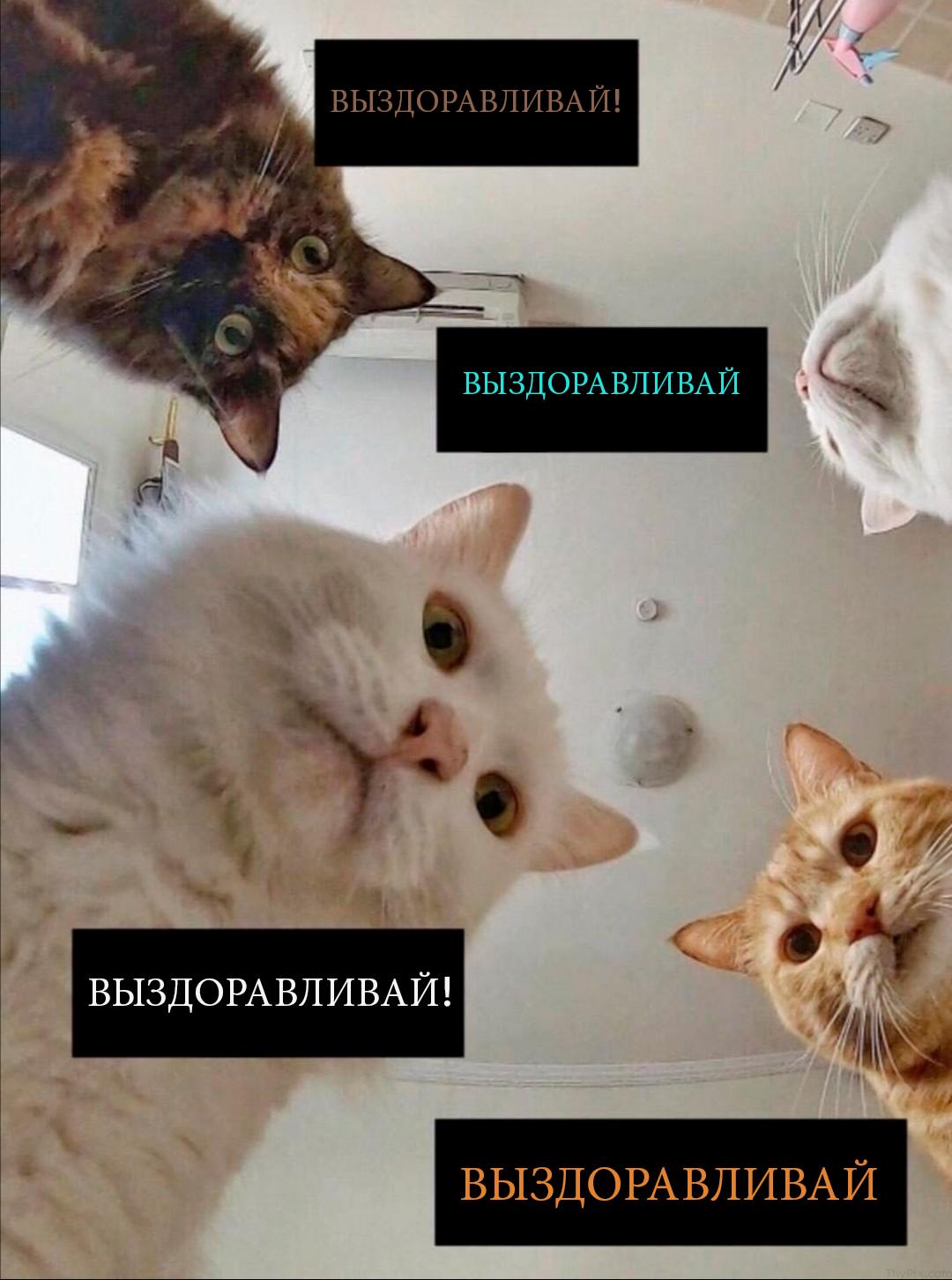  50 