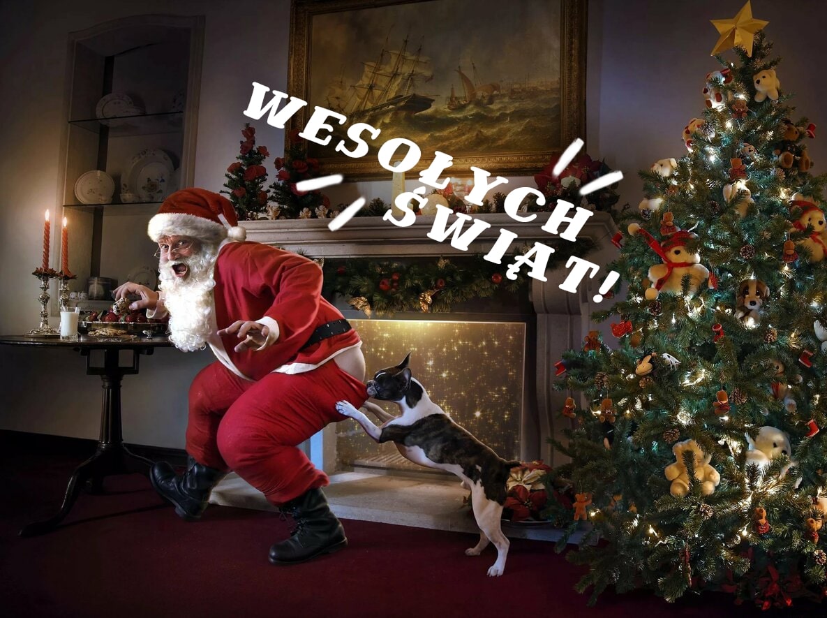 Wesołych Świąt zdjęcia. 60 kart okolicznościowych na Boże Narodzenie