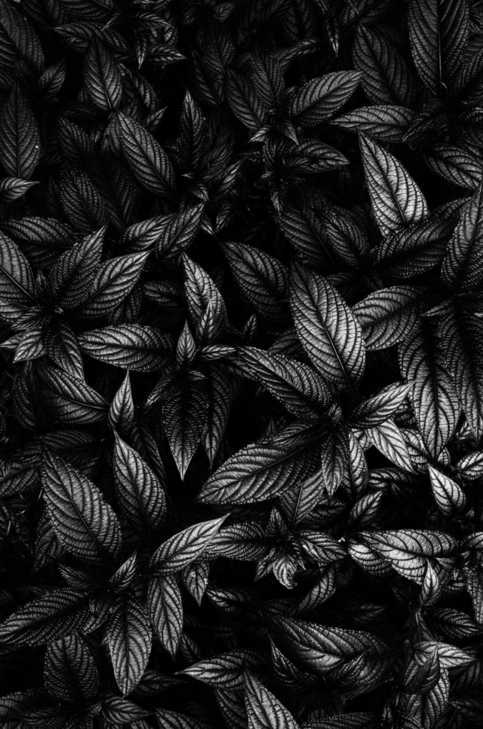 black wallpapers for smartphone 31