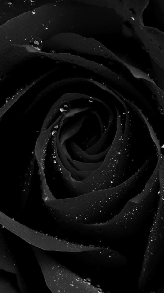 black wallpapers for smartphone 98