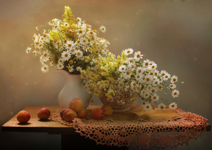 Schöne Fotos von Kamillenblüten - 100 Bilder in hoher Auflösung