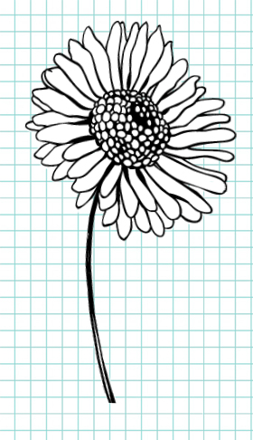 Hermosos dibujos de flores - 200 imágenes para dibujar