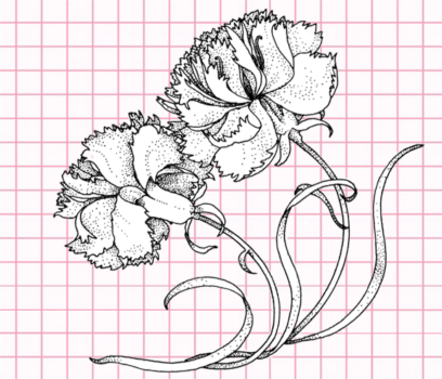 Beautiful Flower Drawings - 200 Pictures to Sketch