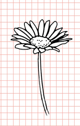 Bellissimi disegni di fiori - 200 immagini da disegnare