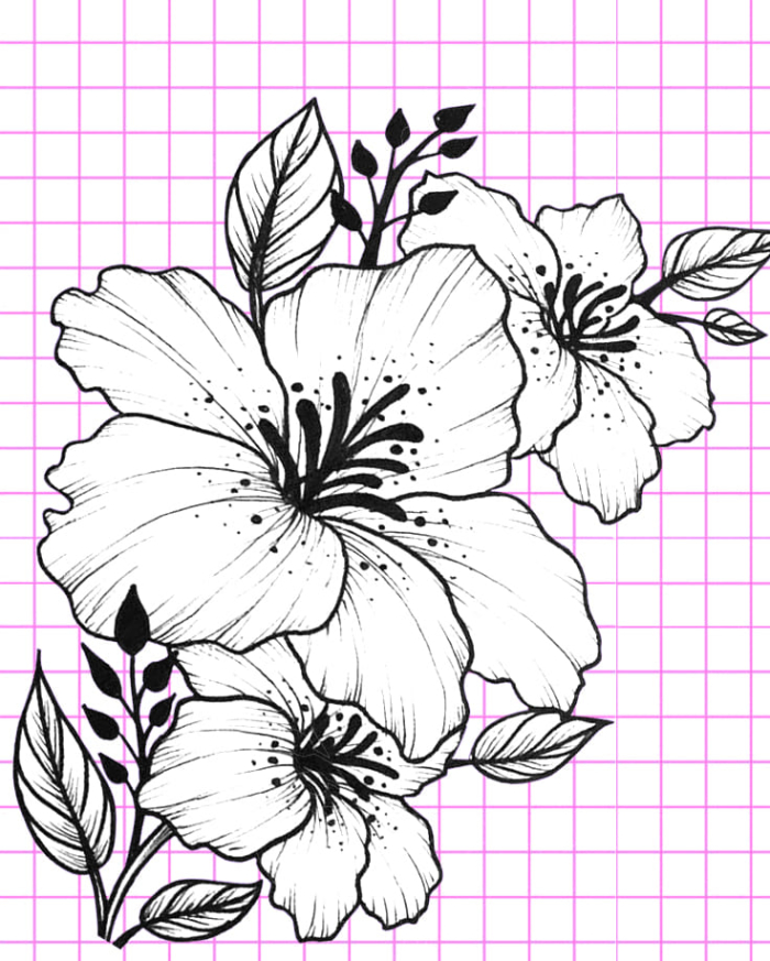 Beautiful Flower Drawings - 200 Pictures to Sketch