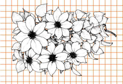 Schöne Blumenzeichnungen - 200 Bilder zum Skizzieren