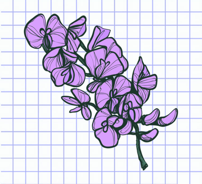 Beautiful Flower Drawings - 200 Pictures to Sketch