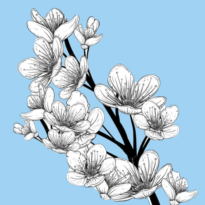 Lindos desenhos de flores - 200 imagens para esboçar