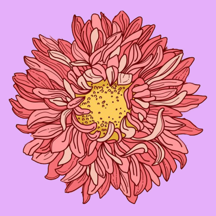 Hermosos dibujos de flores - 200 imágenes para dibujar