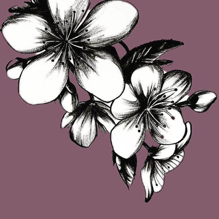 Beautiful Flower Drawings - 200 Pictures to Sketch