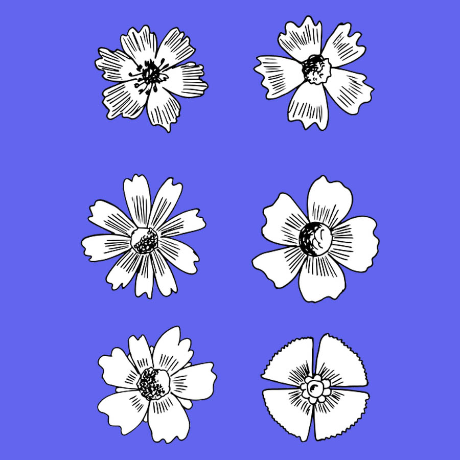 flowers-drawing-image-2-46