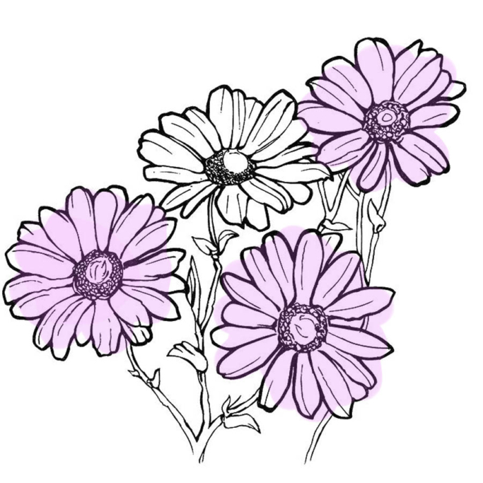 Beautiful Flower Drawings - 200 Pictures to Sketch