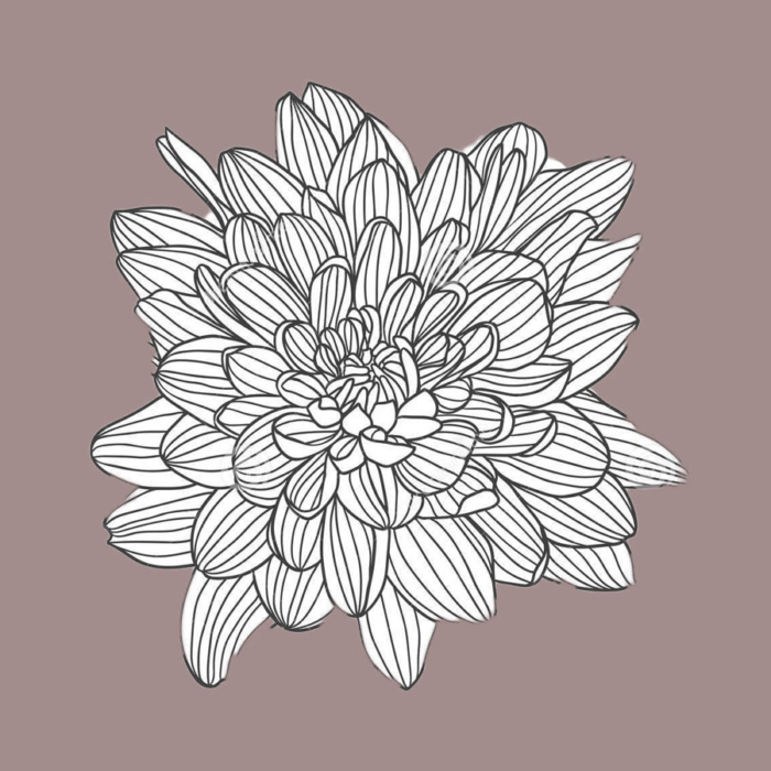 Hermosos dibujos de flores - 200 imágenes para dibujar