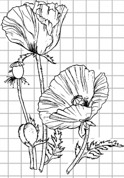 Bellissimi disegni di fiori - 200 immagini da disegnare