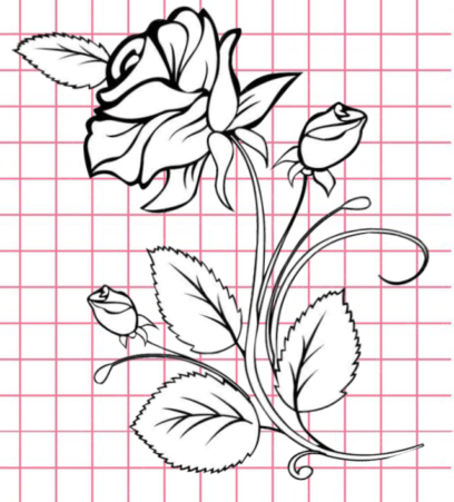 Beautiful Flower Drawings - 200 Pictures to Sketch