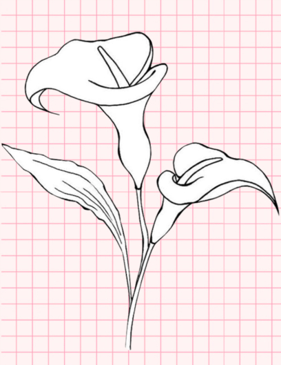 Beautiful Flower Drawings - 200 Pictures to Sketch