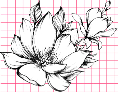 Bellissimi disegni di fiori - 200 immagini da disegnare