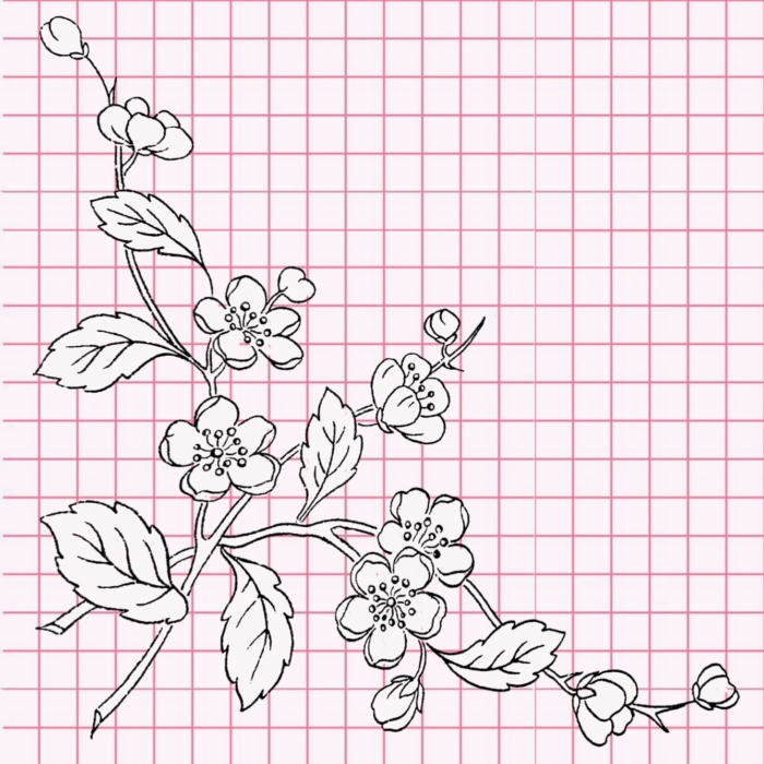 Lindos desenhos de flores - 200 imagens para esboçar