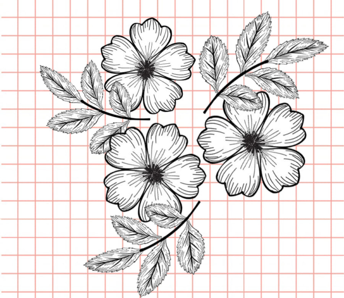 Beautiful Flower Drawings - 200 Pictures to Sketch