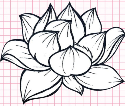 Bellissimi disegni di fiori - 200 immagini da disegnare