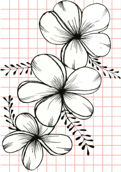 Beautiful Flower Drawings - 200 Pictures to Sketch