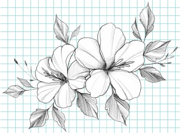 Beautiful Flower Drawings - 200 Pictures to Sketch