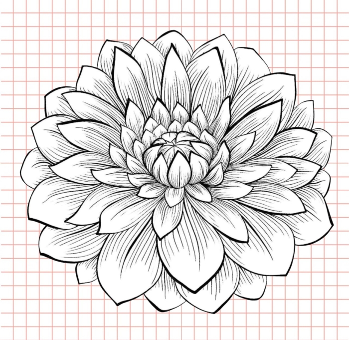 Beautiful Flower Drawings - 200 Pictures to Sketch