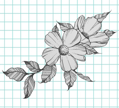 Bellissimi disegni di fiori - 200 immagini da disegnare