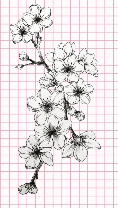 Beautiful Flower Drawings - 200 Pictures to Sketch