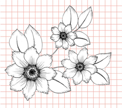 Beautiful Flower Drawings - 200 Pictures to Sketch