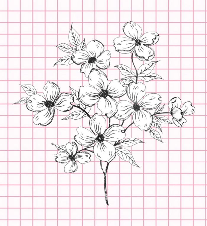 Bellissimi disegni di fiori - 200 immagini da disegnare