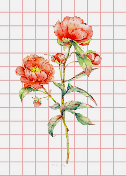 Lindos desenhos de flores - 200 imagens para esboçar
