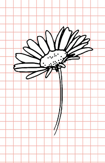 Bellissimi disegni di fiori - 200 immagini da disegnare