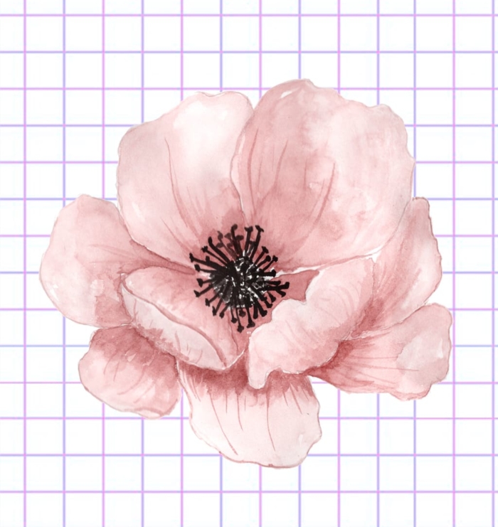 Beautiful Flower Drawings - 200 Pictures to Sketch