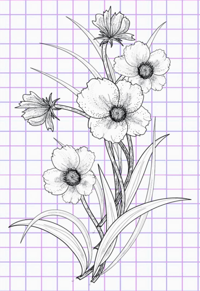 Beautiful Flower Drawings - 200 Pictures to Sketch