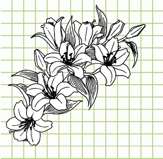 Beautiful Flower Drawings - 200 Pictures to Sketch