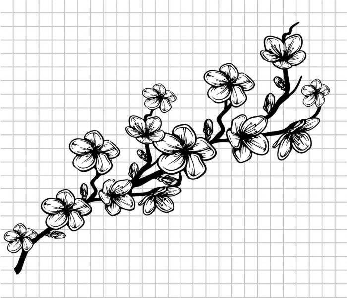 Beautiful Flower Drawings - 200 Pictures to Sketch